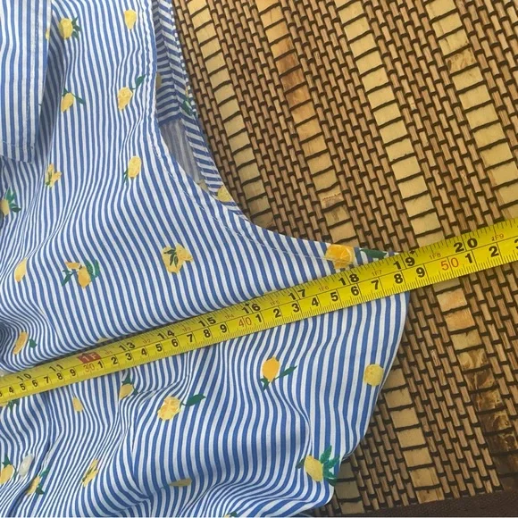J.Crew Lemon Print Shirt Dress Blue Striped Sleeveless Belted Summer Size 10 - Picture 9 of 10